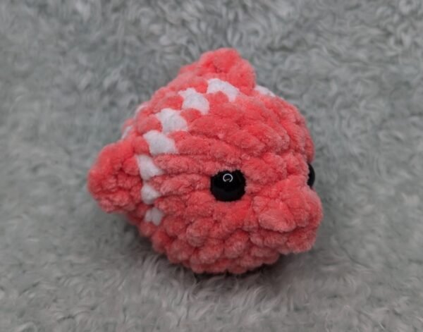 coral fish