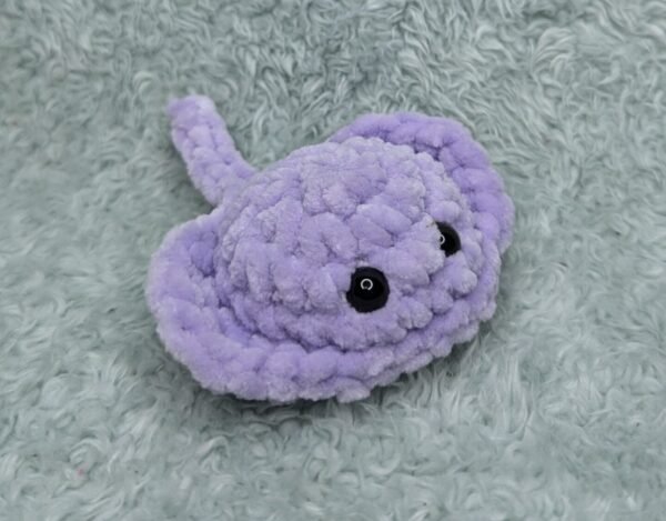 purple mini ray