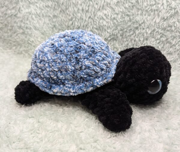 black turtle