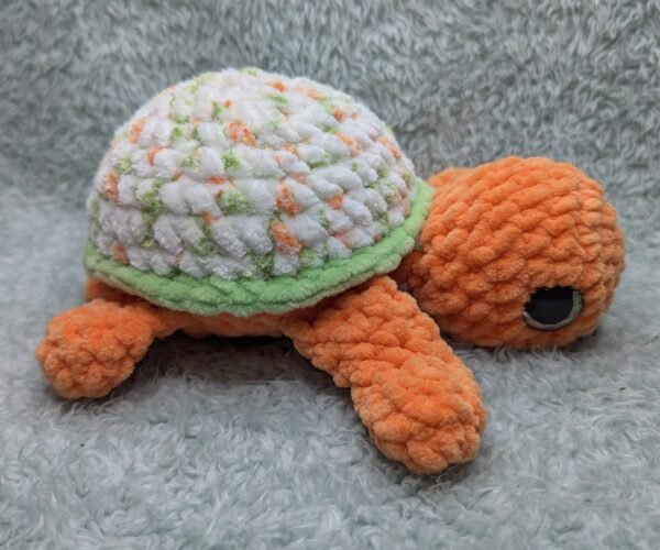 orange turtle