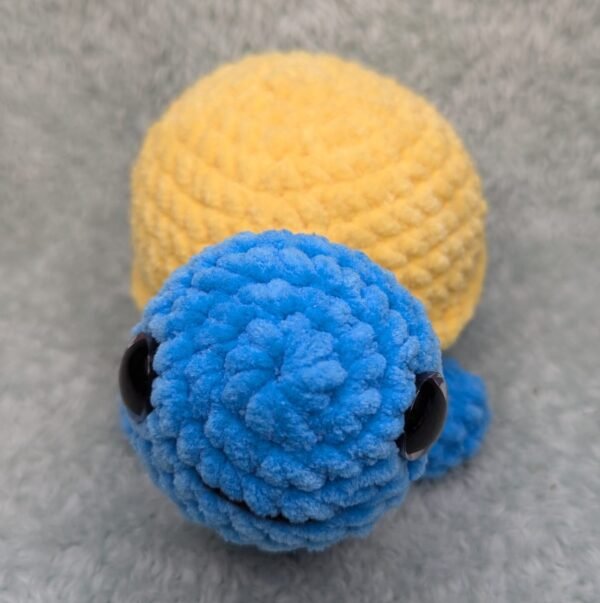 blue yellow tortoise