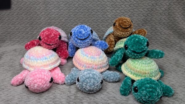 Rainbow Shell Turtles - Image 8