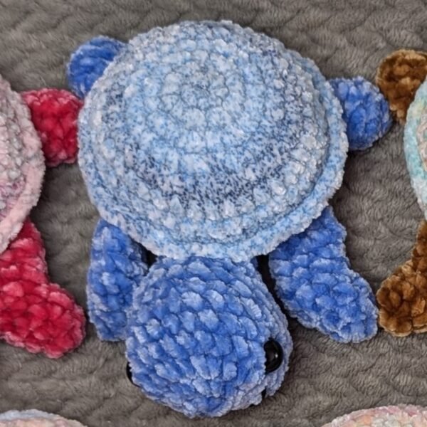 Rainbow Shell Turtles - Image 10