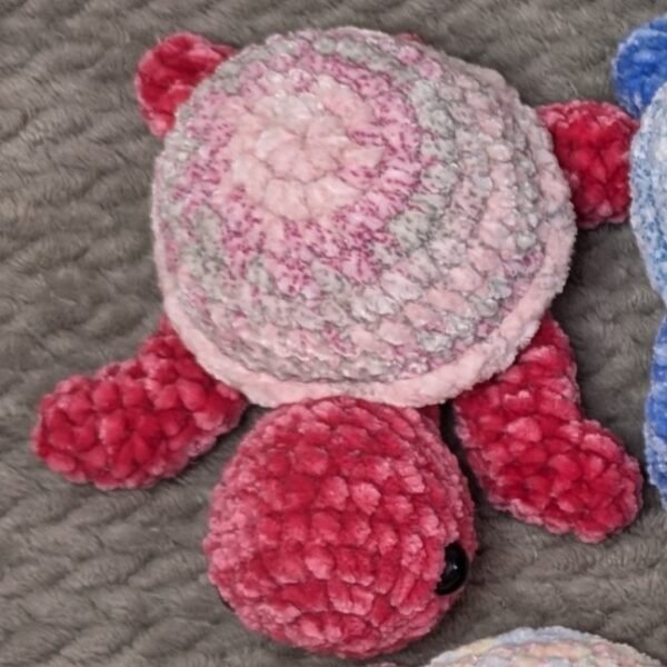 Rainbow Shell Turtles - Image 9