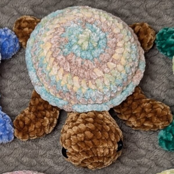 Rainbow Shell Turtles - Image 11