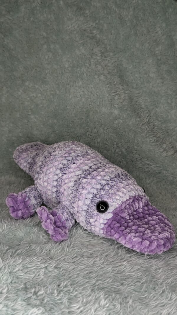 Platypus - Image 2