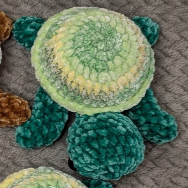 Rainbow Shell Turtles - Image 12